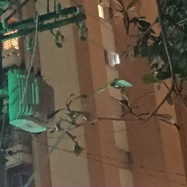 Imagem da publicação