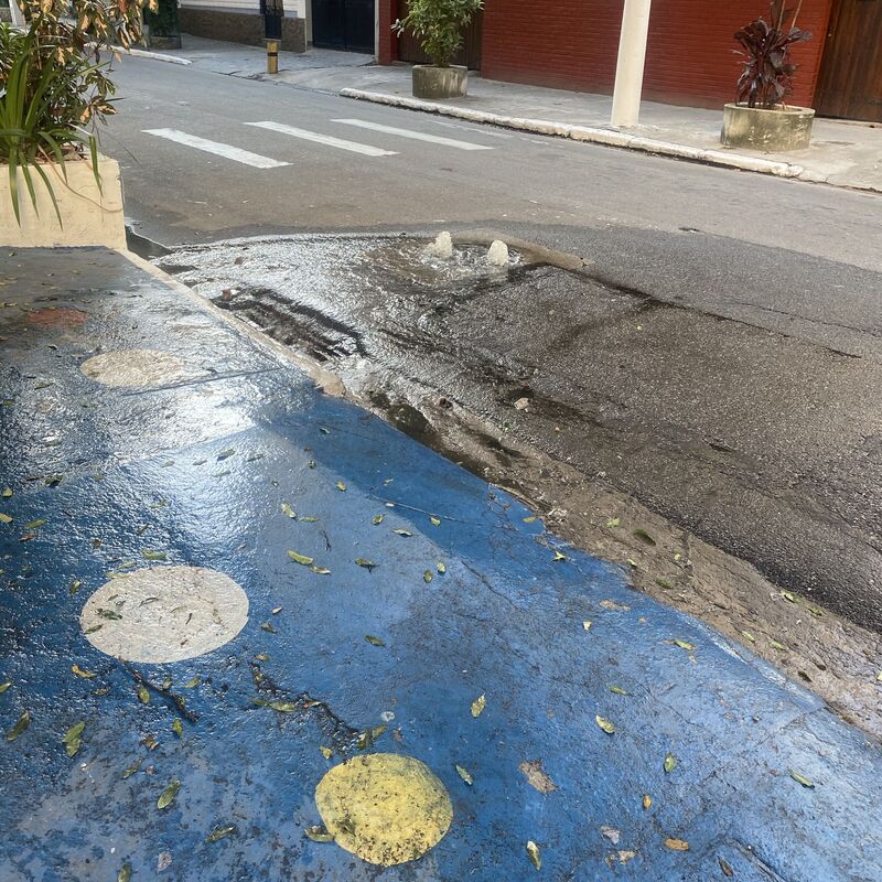 Imagem da publicação