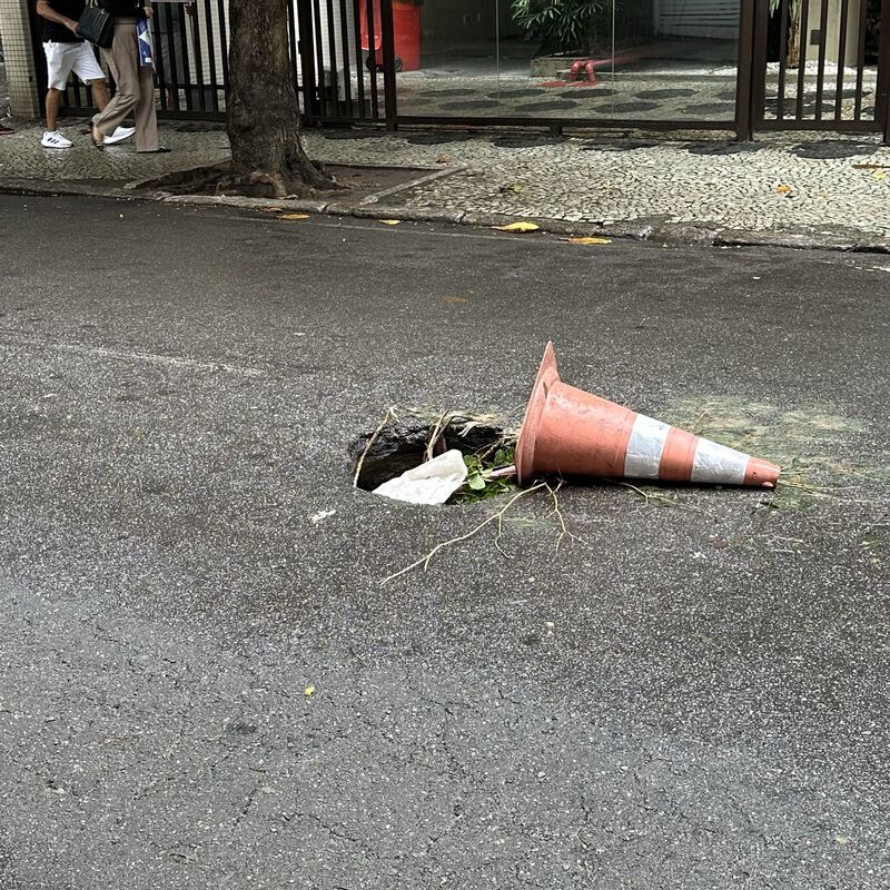 Imagem da publicação