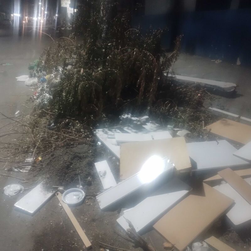 Imagem da publicação