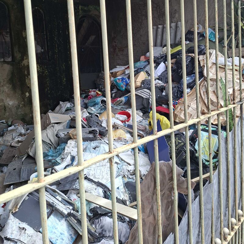 Imagem da publicação