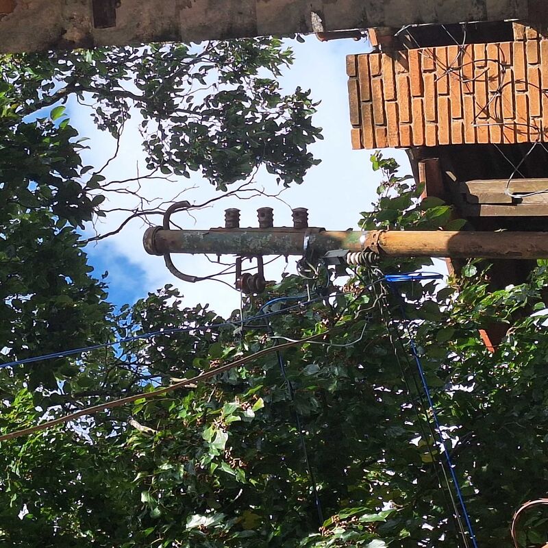 Imagem da publicação