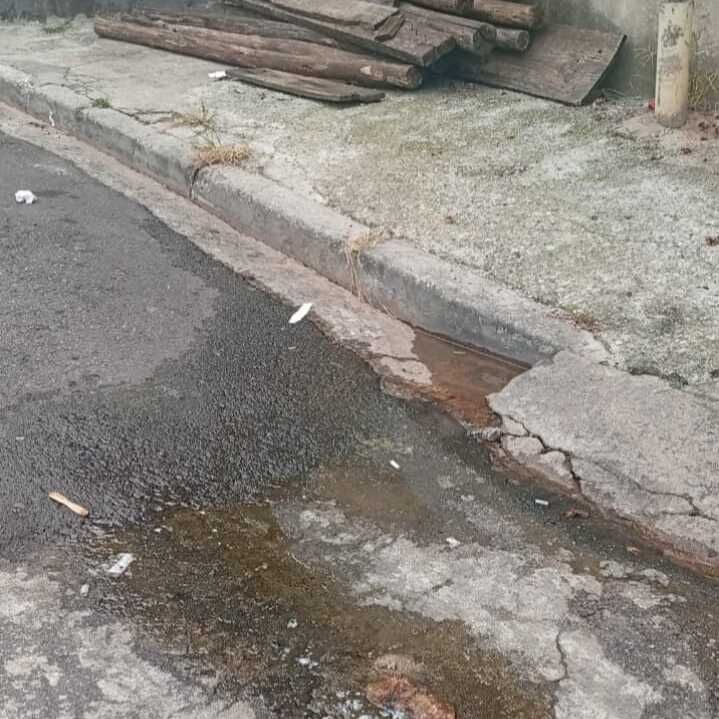 Imagem da publicação