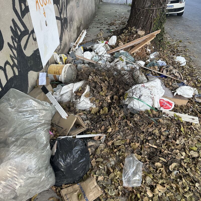 Imagem da publicação