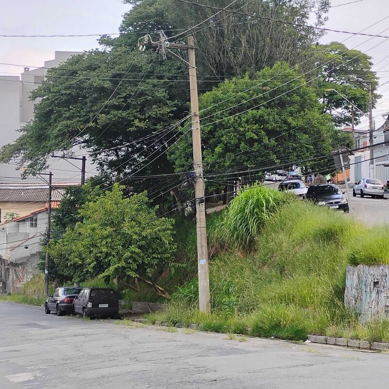 Imagem da publicação