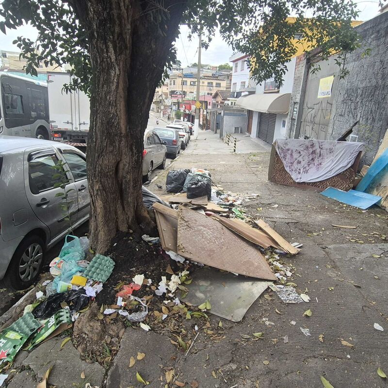 Imagem da publicação