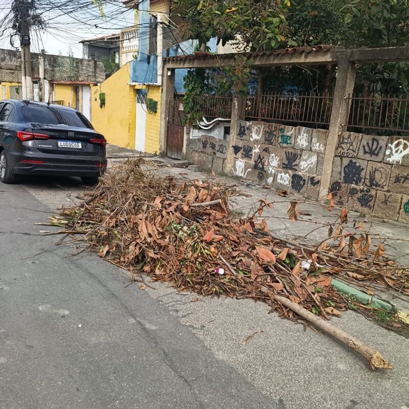 Imagem da publicação