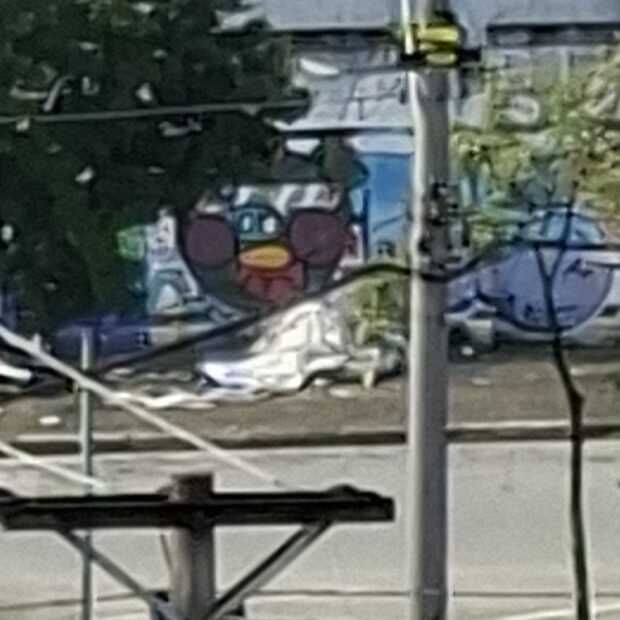 Imagem da publicação
