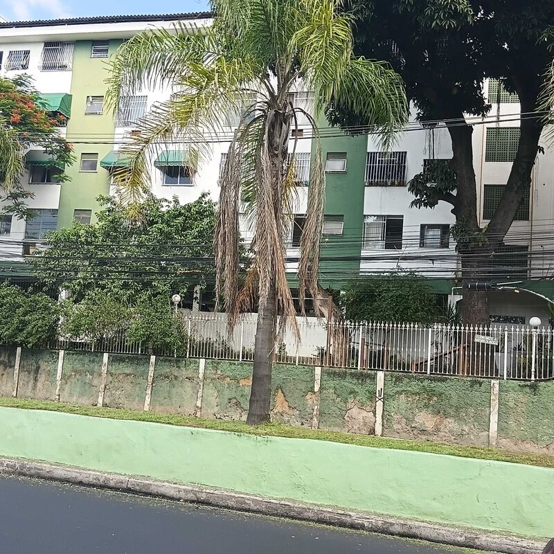 Imagem da publicação