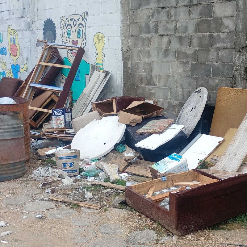Imagem da publicação