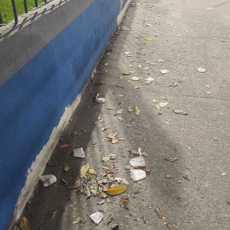 Imagem da publicação