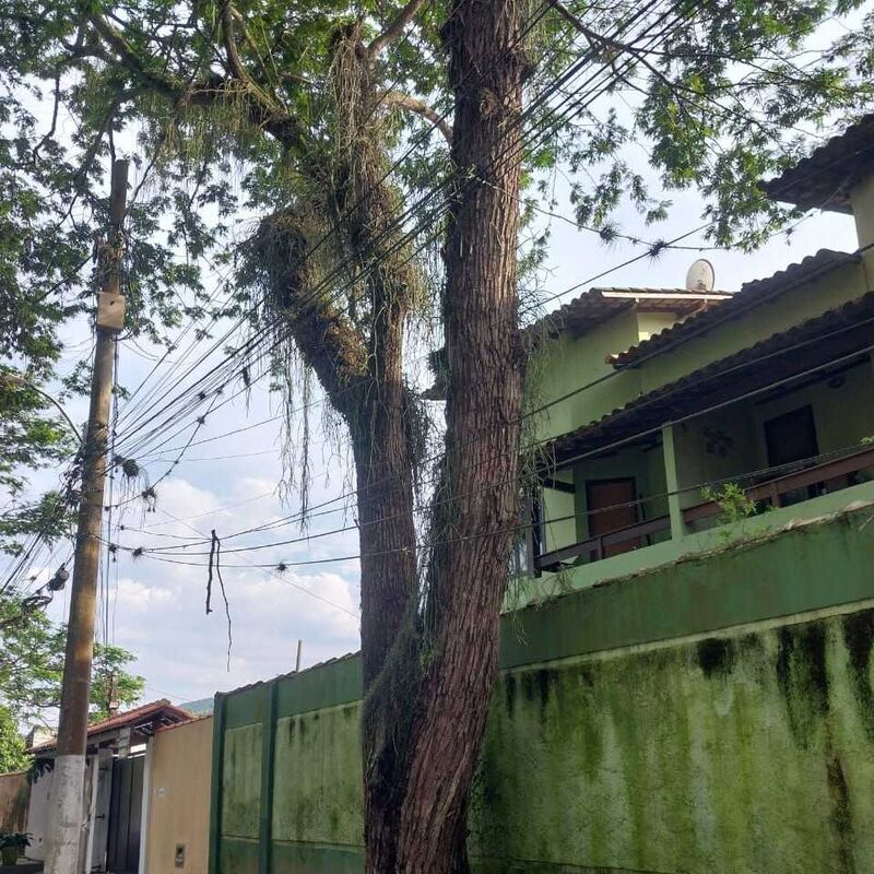 Imagem da publicação