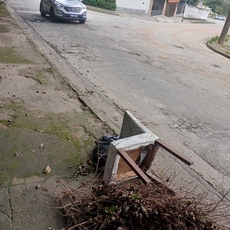 Imagem da publicação