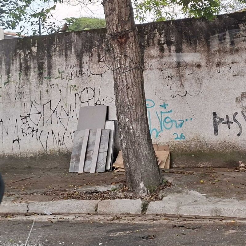 Imagem da publicação