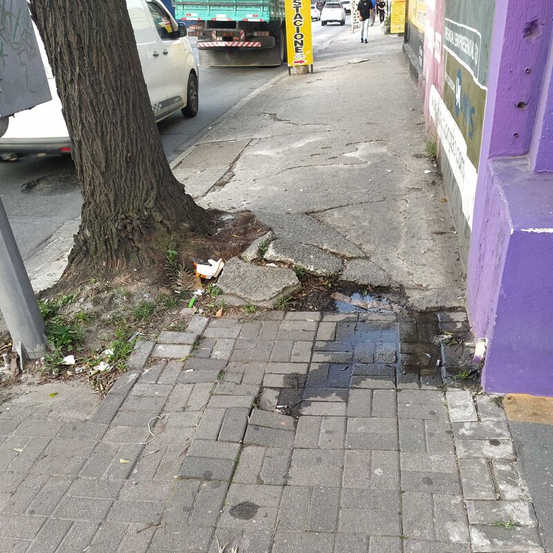 Imagem da publicação