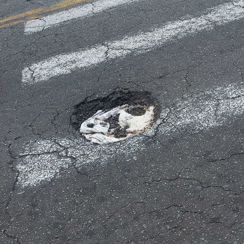 Imagem da publicação