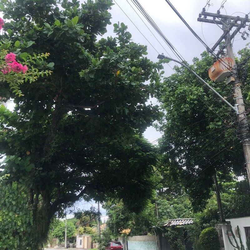 Imagem da publicação