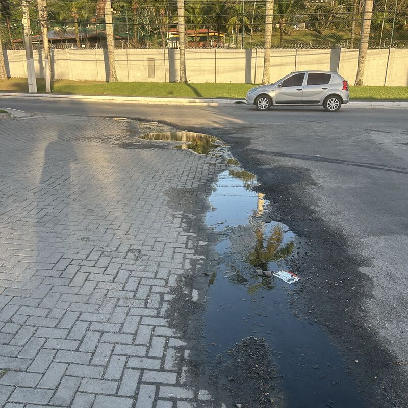 Imagem da publicação