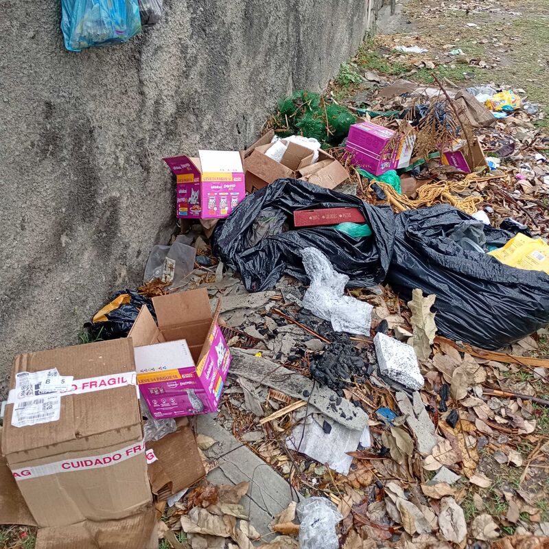 Imagem da publicação