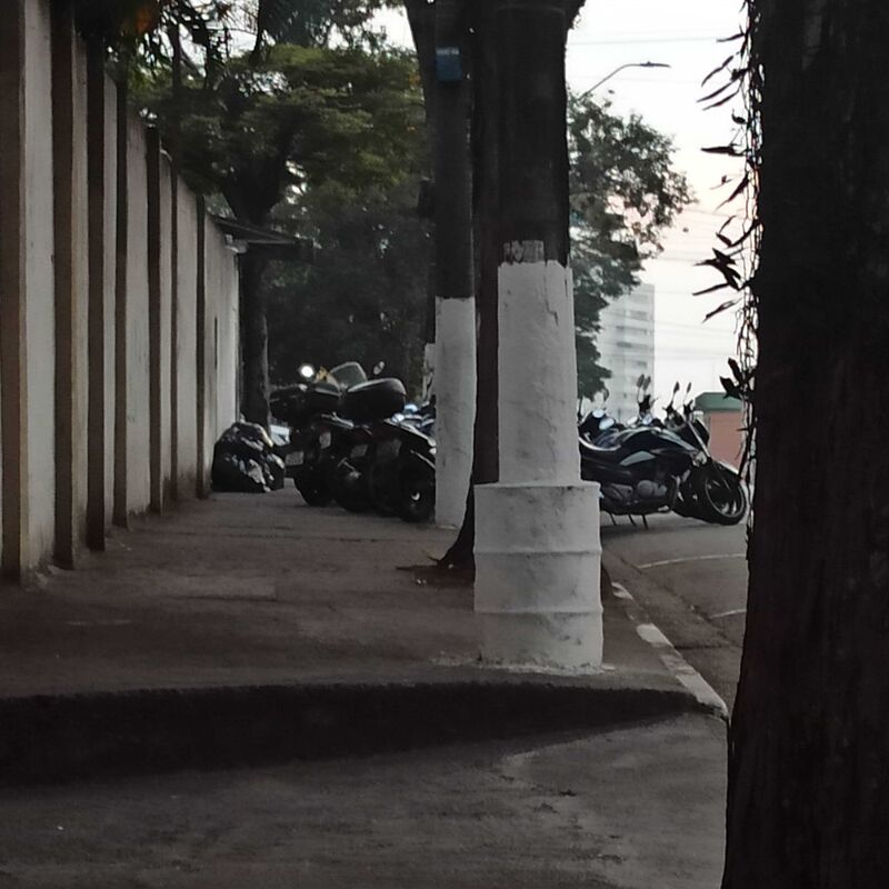Imagem da publicação