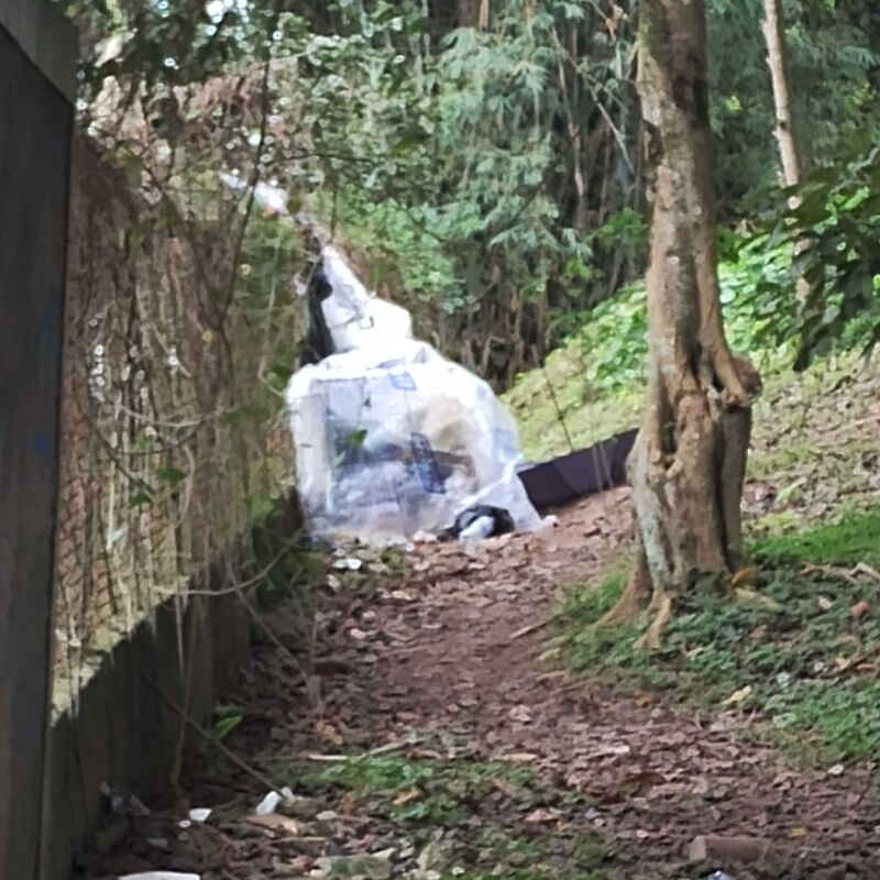 Imagem da publicação
