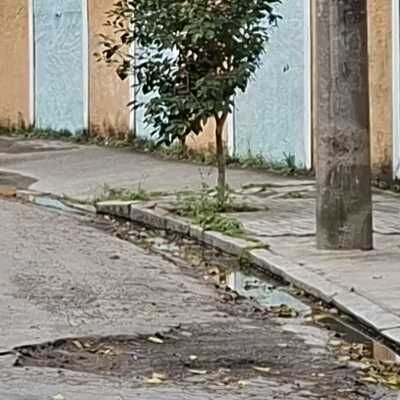 Imagem da publicação