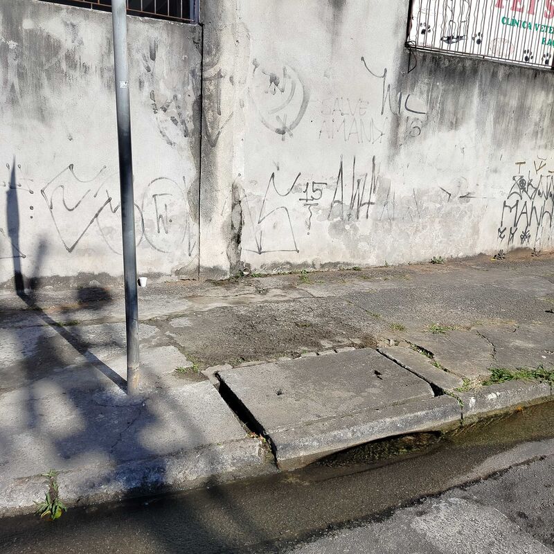 Imagem da publicação