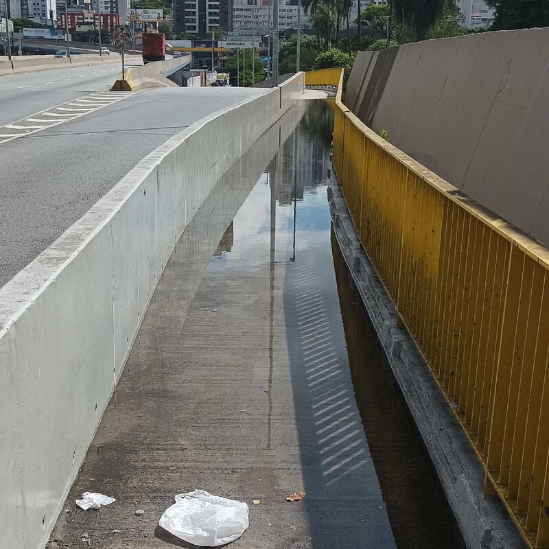 Imagem da publicação