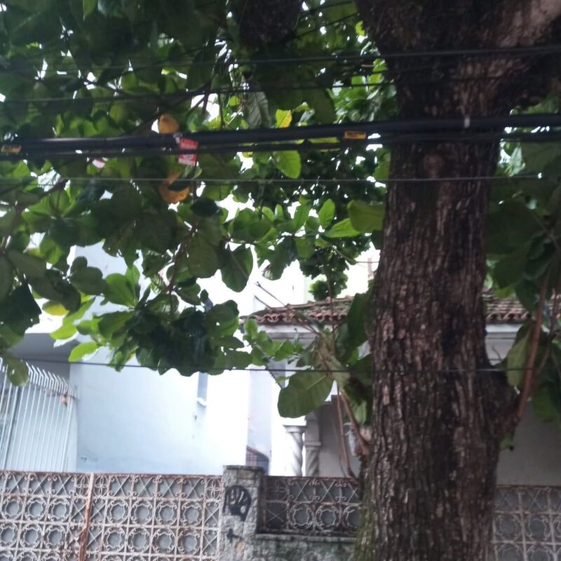 Imagem da publicação