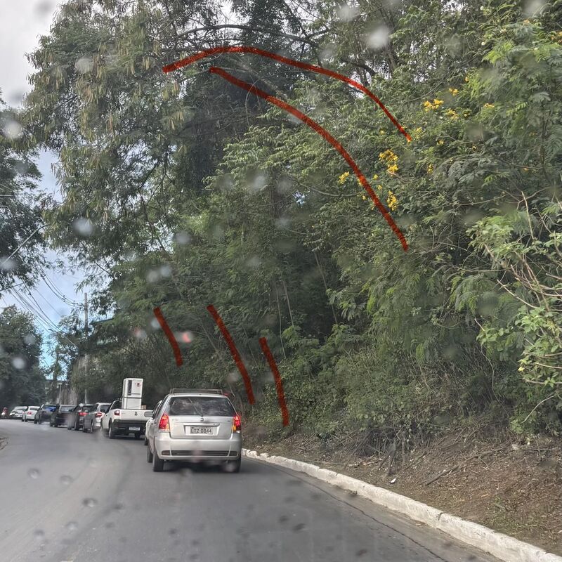 Imagem da publicação