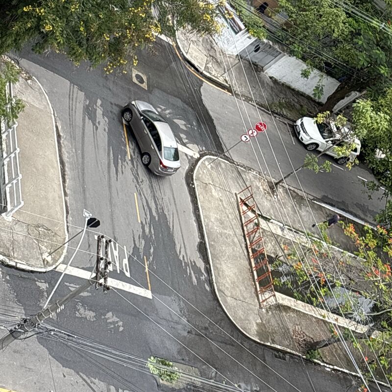 Imagem da publicação