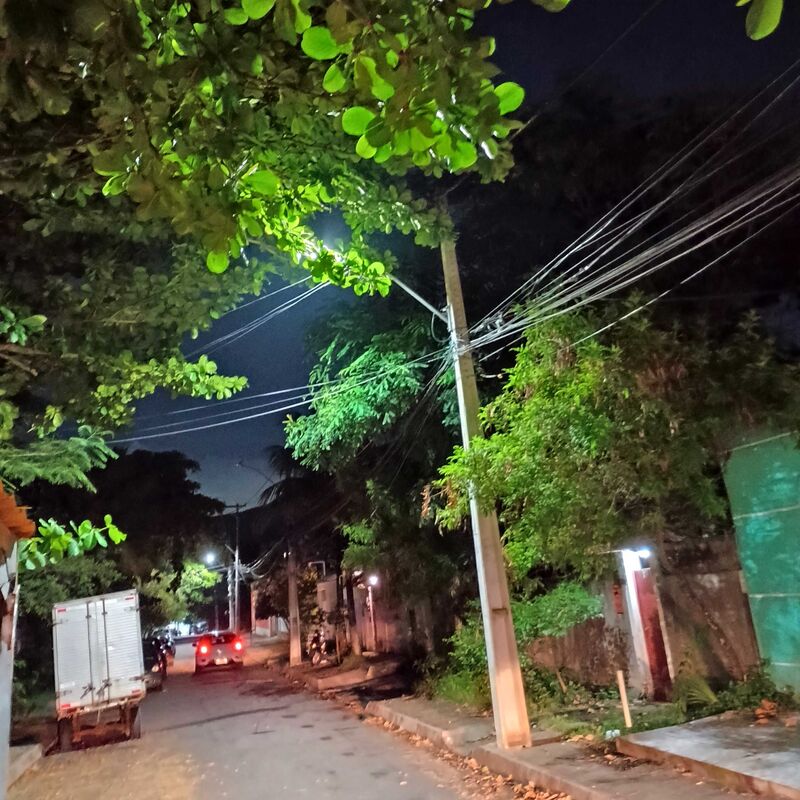 Imagem da publicação