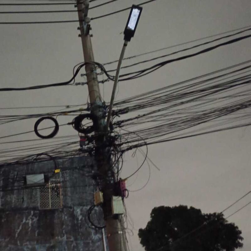 Imagem da publicação