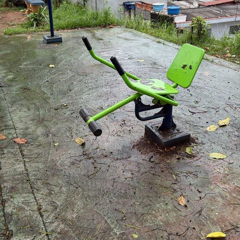 Imagem da publicação