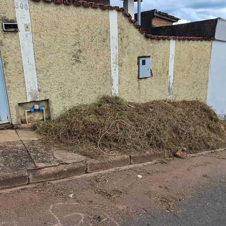 Imagem da publicação