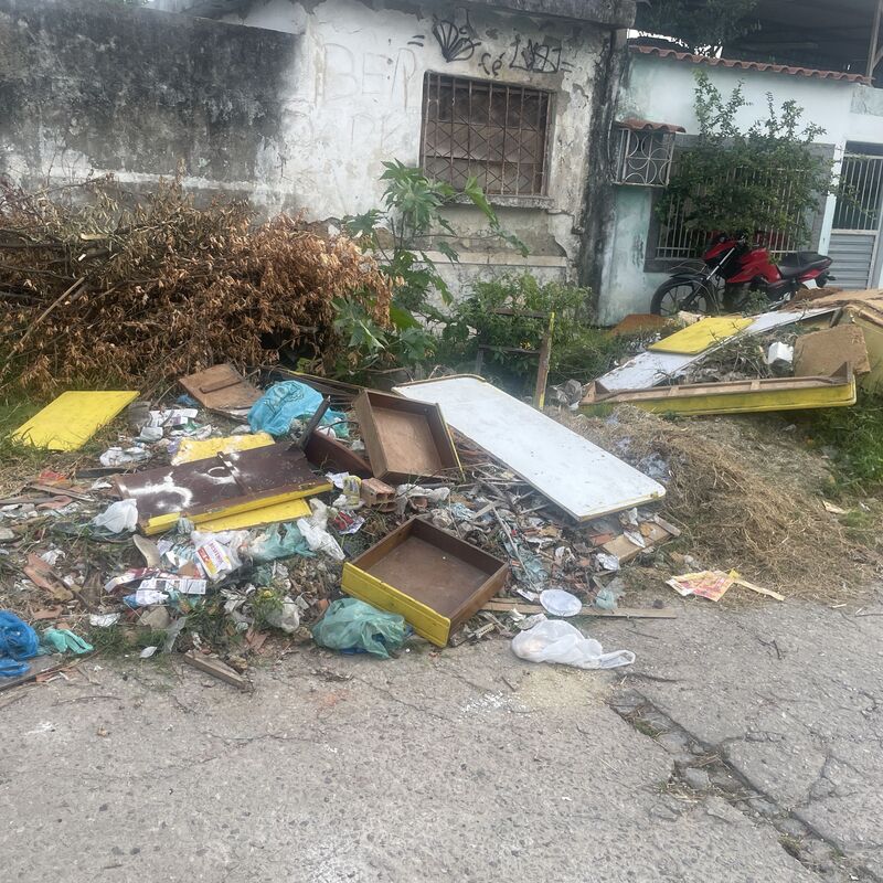 Imagem da publicação