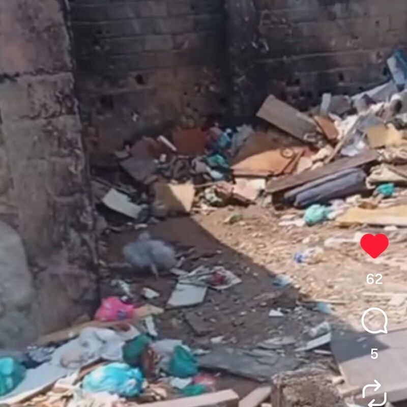 Imagem da publicação