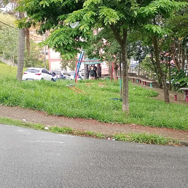 Imagem da publicação