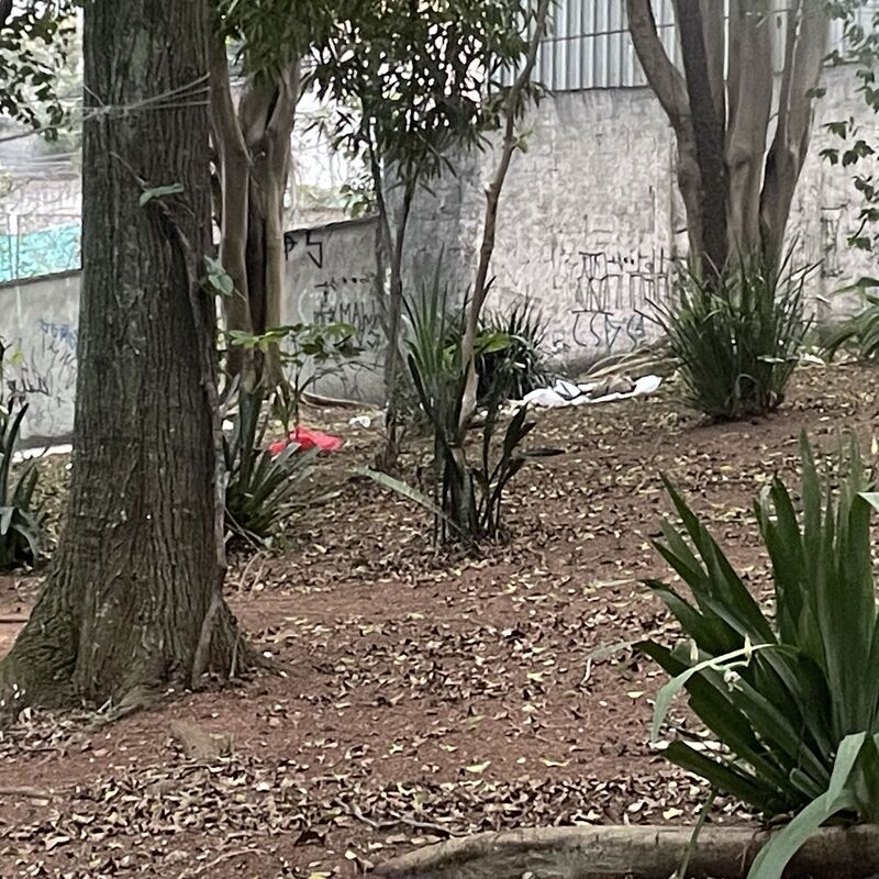 Imagem da publicação