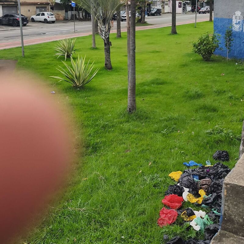 Imagem da publicação