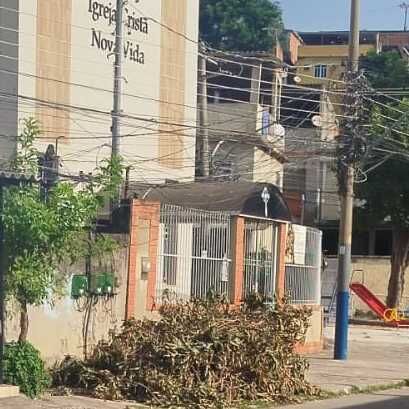 Imagem da publicação