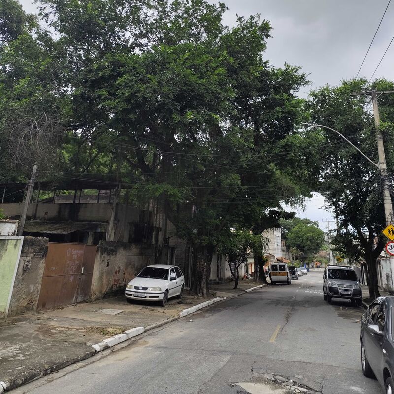 Imagem da publicação