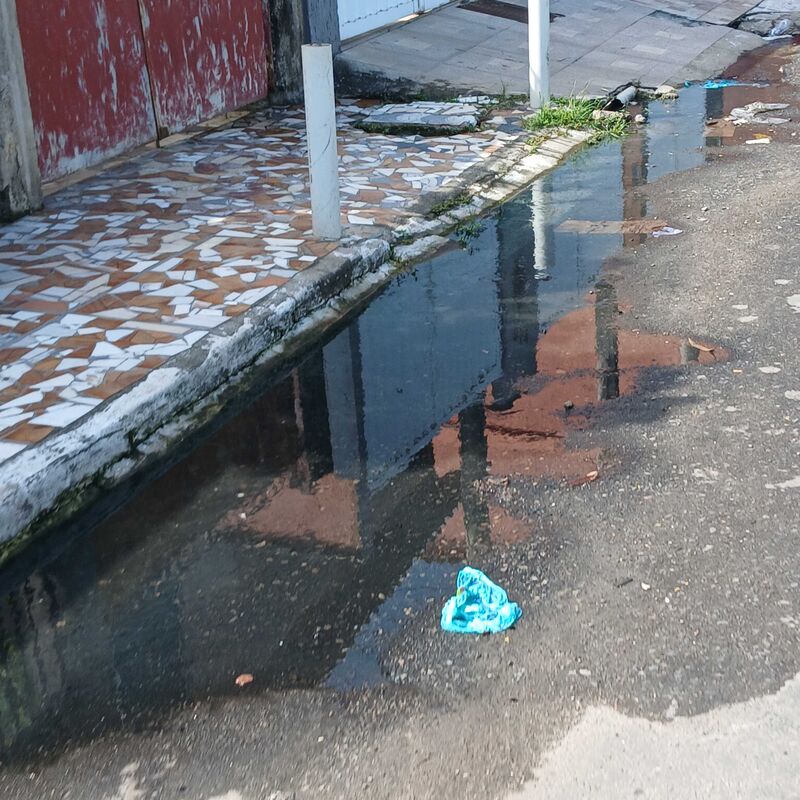 Imagem da publicação