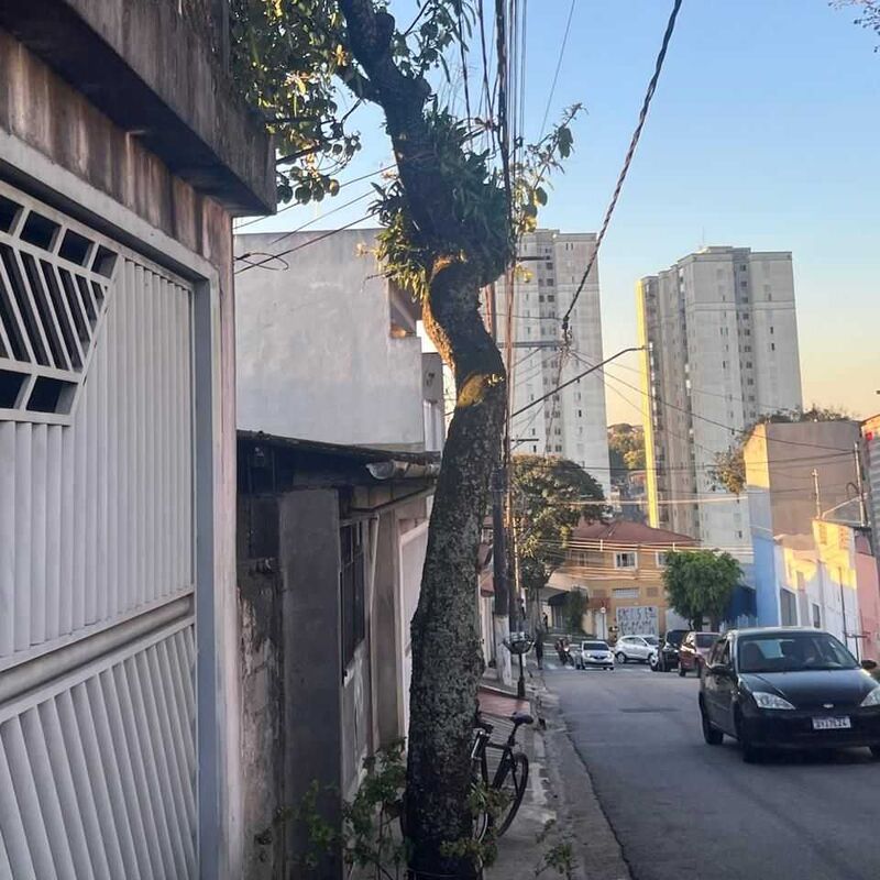 Imagem da publicação
