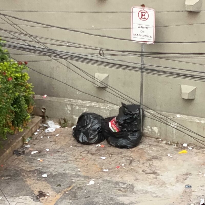 Imagem da publicação