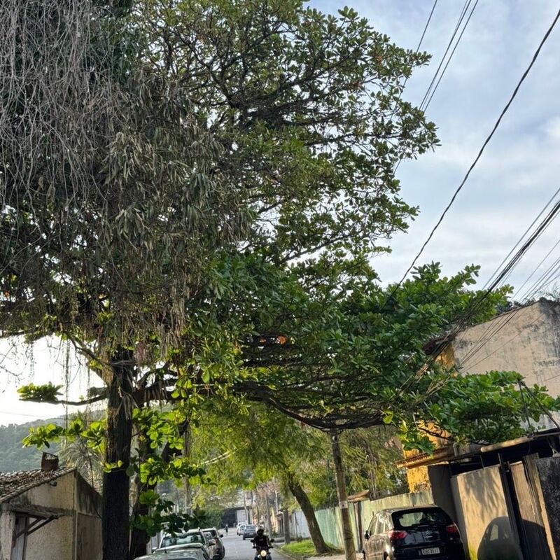Imagem da publicação