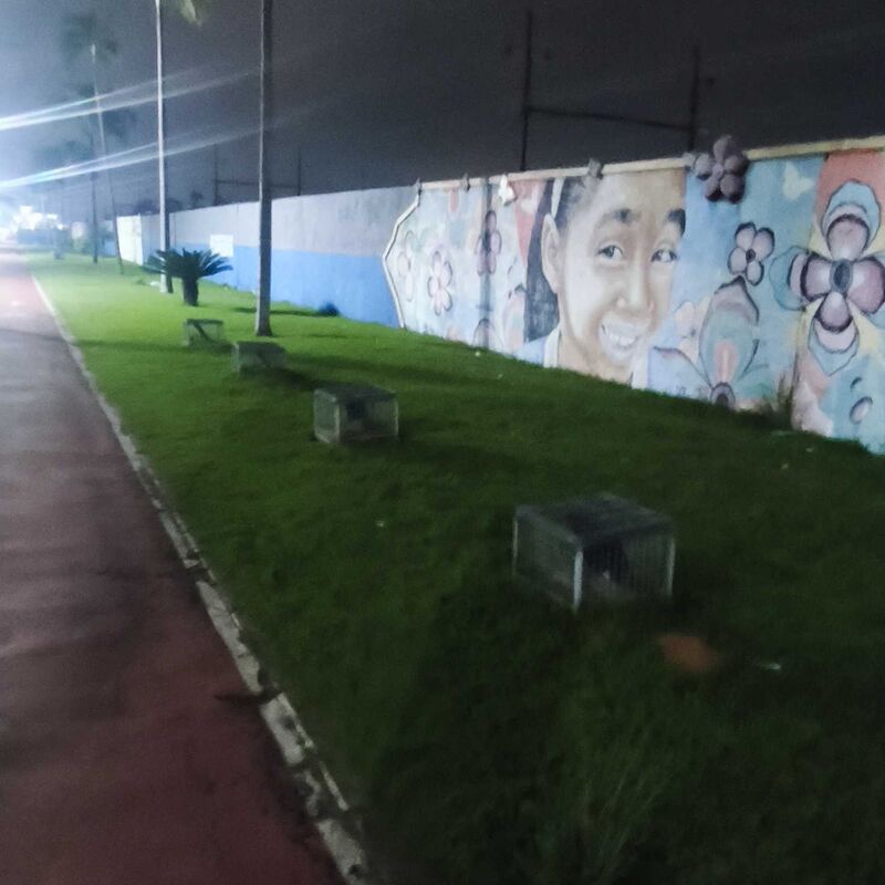 Imagem da publicação