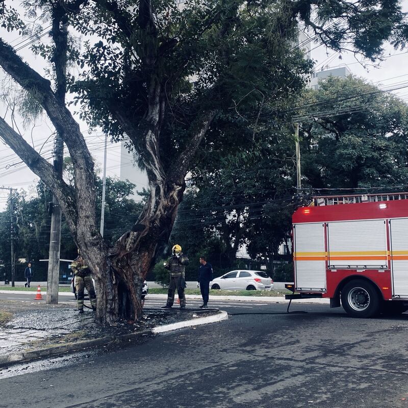 Imagem da publicação