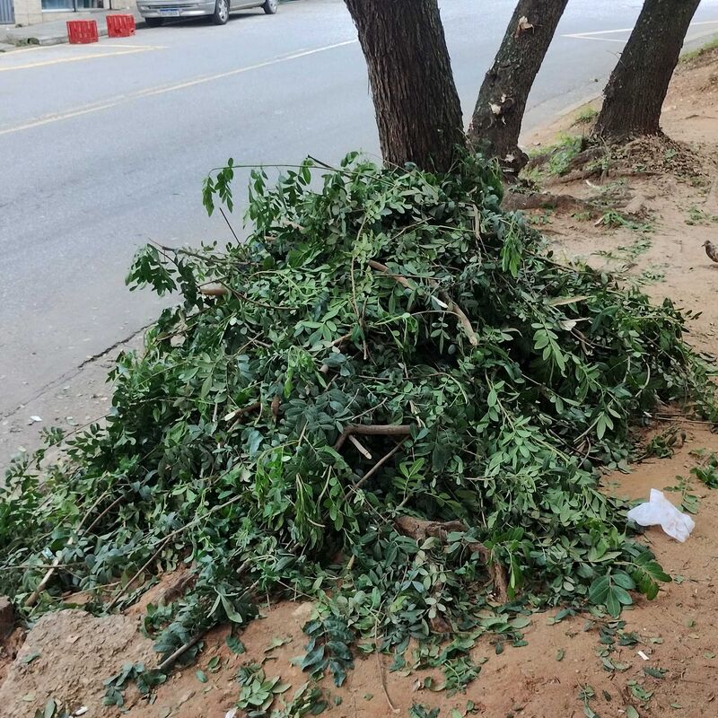 Imagem da publicação