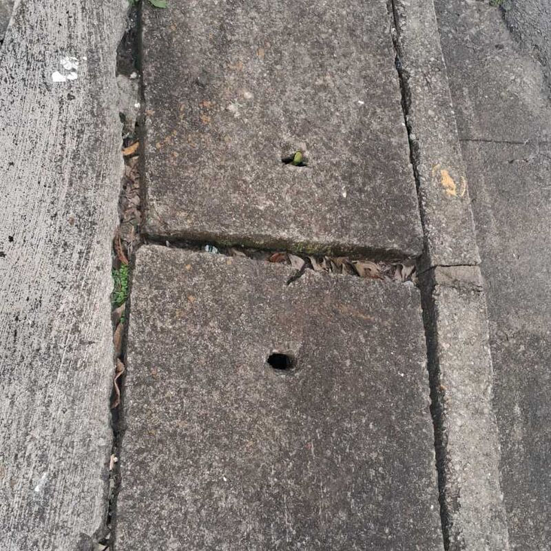 Imagem da publicação